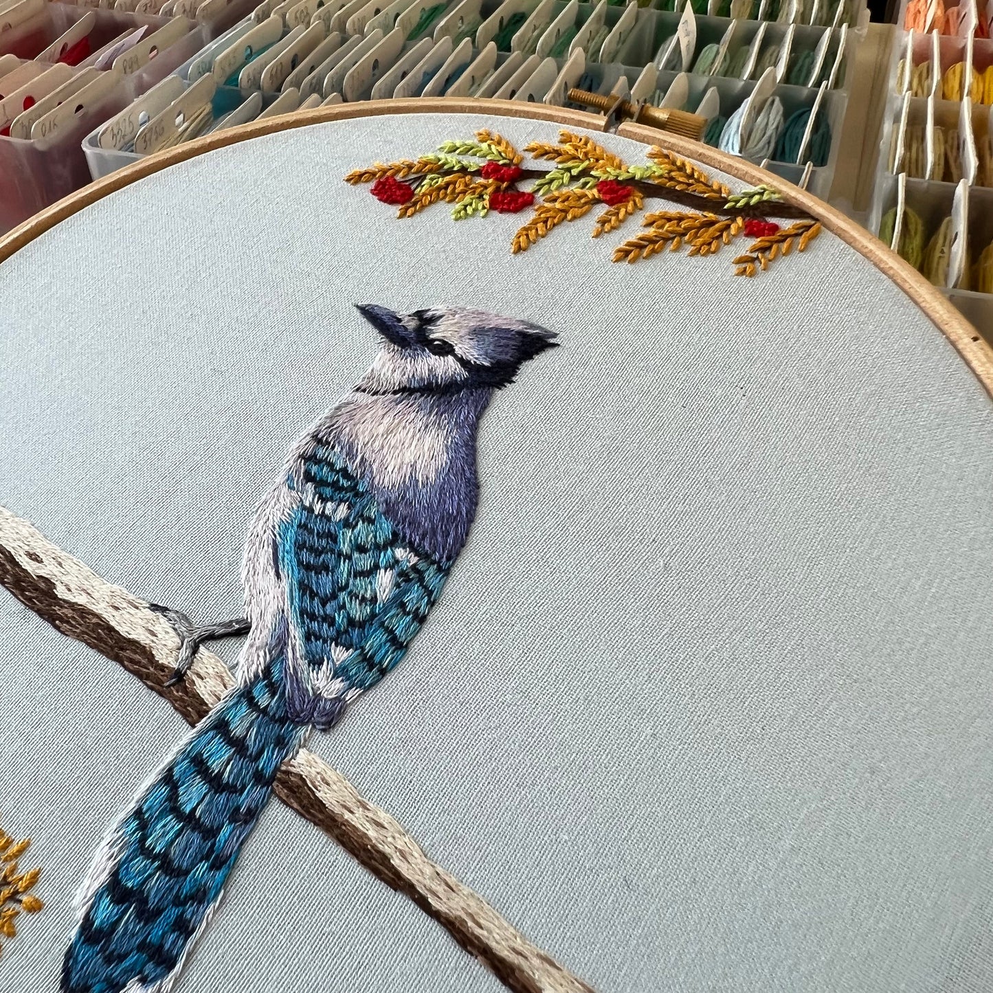 Blue Jay - Hand Embroidery Pattern (PDF)